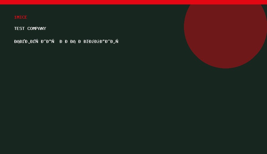 Северная ДМС Компания